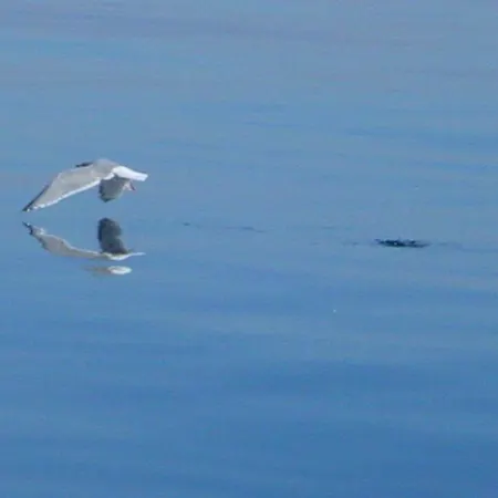 Duenenblick Doppelzimmer Seestern Ξενοδοχείο Timmendorfer Strand