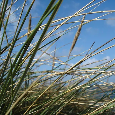 Duenenblick Doppelzimmer Seestern Ξενοδοχείο